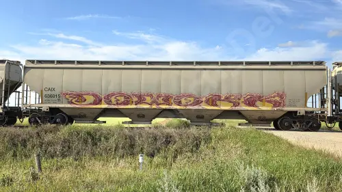 CAIX636015