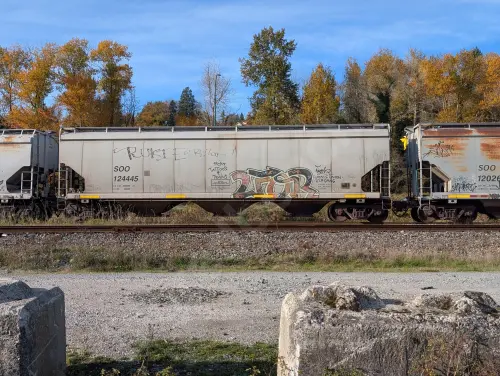 SOO124445