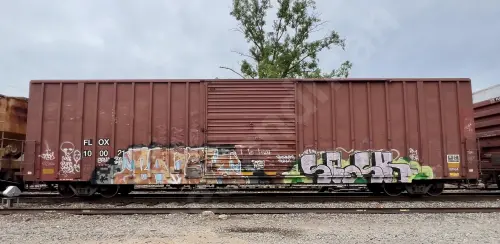FLOX100021