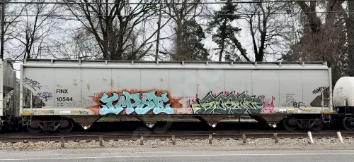 FINX10544