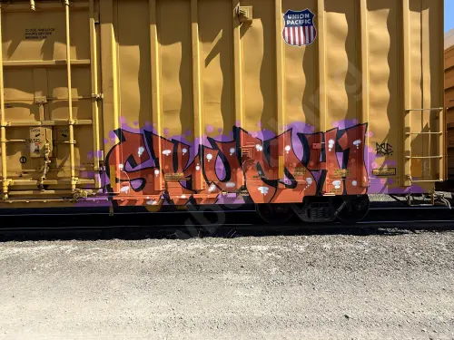 UP700775