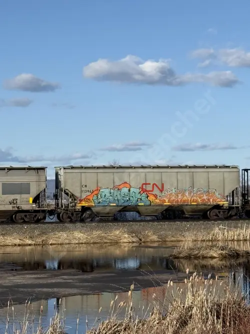 CN113965