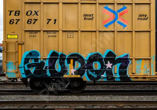 TBOX676771