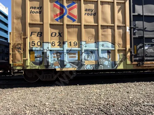 FBOX506219