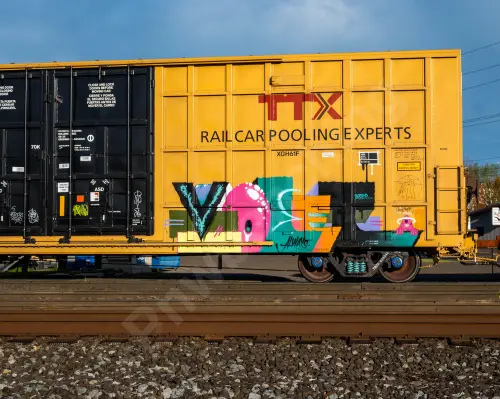 TBOX636244