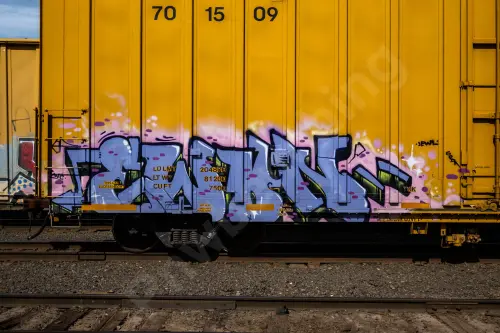 UP701509