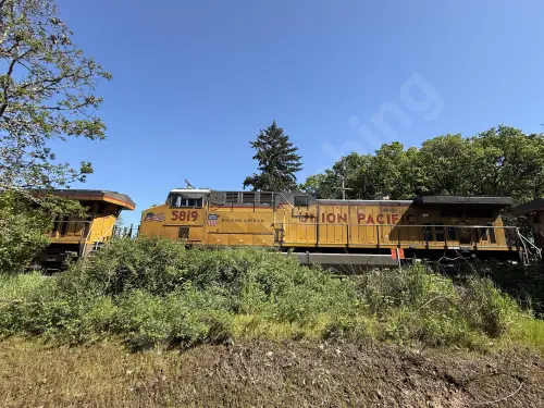 Train photo