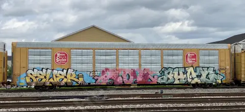 Train photo