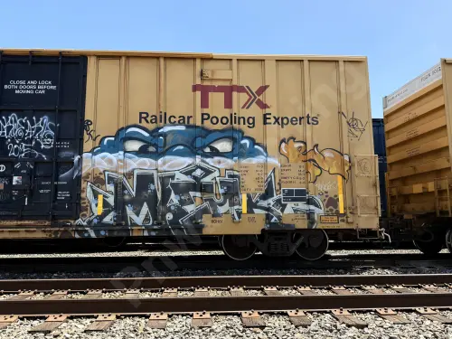 TBOX663054