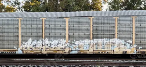 TTGX985056
