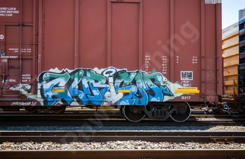 NS470230