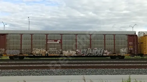 TTGX991815