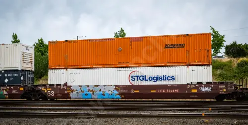 DTTX890491