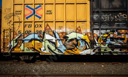 FBOX502383