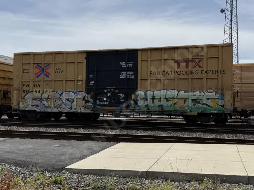 FBOX506451