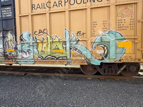 FBOX506920