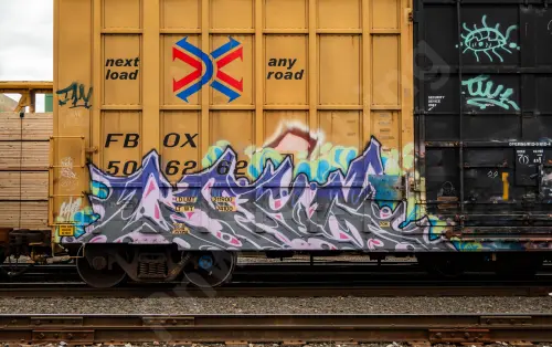 FBOX506262