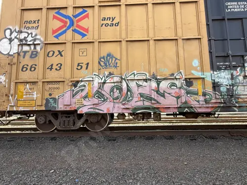 TBOX664351