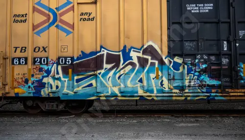 TBOX662005