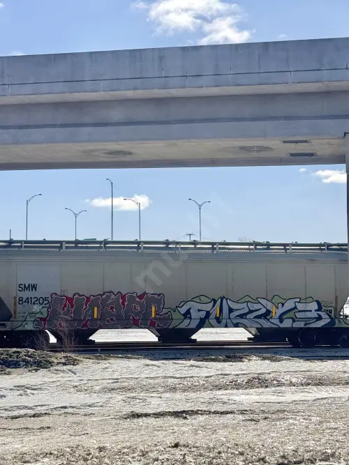 SMW841205