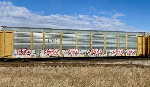 Train photo
