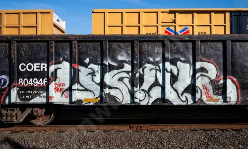 COER804946