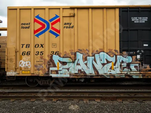 TBOX663536