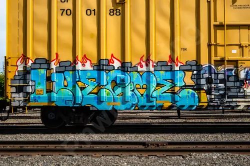 UP700188
