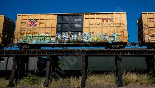 FBOX506920