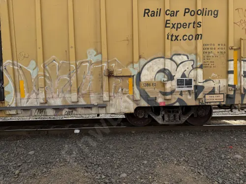 TBOX666477