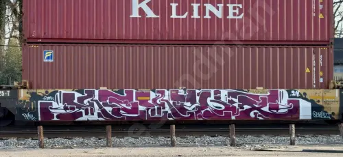 DTTX743276