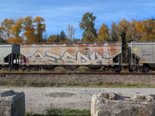 SOO120030
