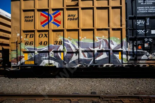 TBOX664038