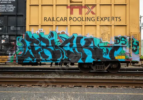 TBOX638671
