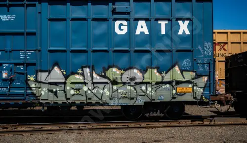 LRS137482