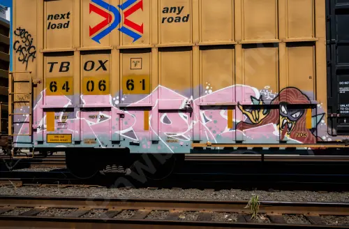 TBOX640661