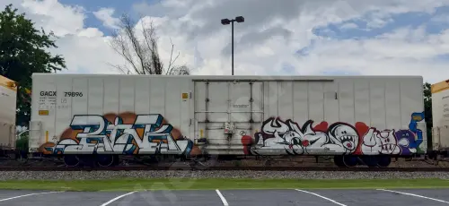 GACX79896