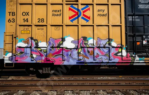 TBOX631428