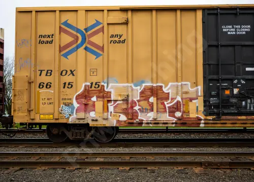TBOX661515