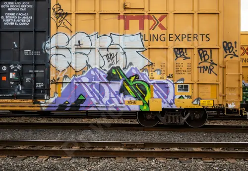 TBOX639050