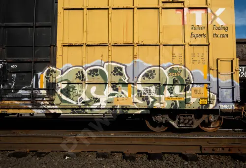 FBOX504393