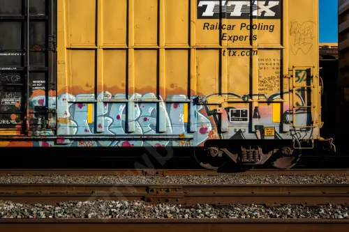 FBOX502093