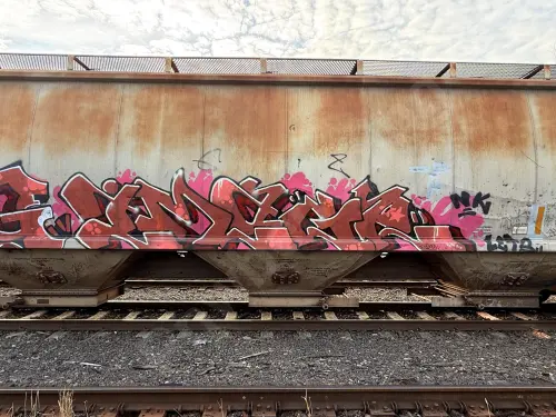 MWCX480493