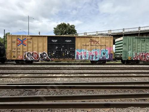 Train photo
