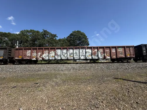 Train photo