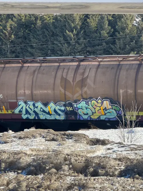 Train photo