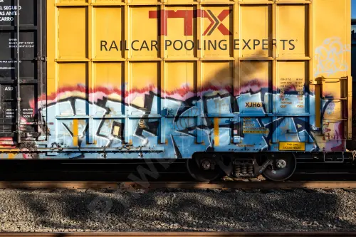 TBOX675431