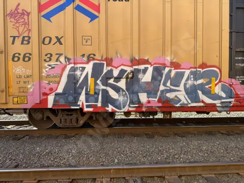 TBOX663716