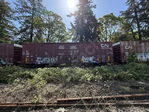 Train photo