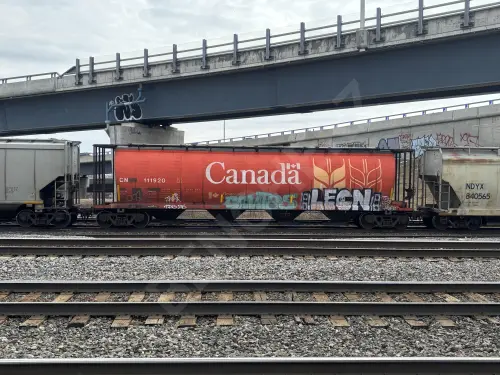 CN111920